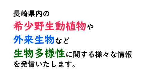 長崎県内の生物多様性情報